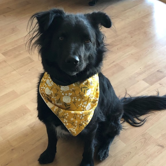 Meet your Posher, Kathleen - Picture 3 of 6